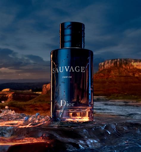 sauvage dior men reviews|sauvage Dior men cologne review.